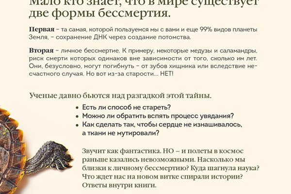 Ссылка на кракен свежая