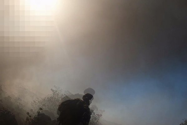 Мега кракен блэк спрут