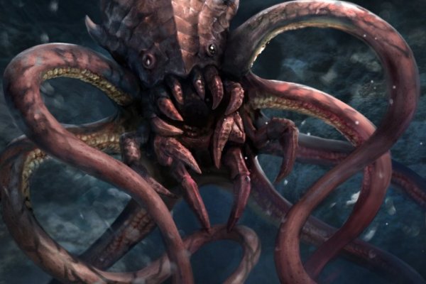 Kraken 13at