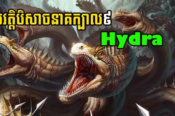 Что такое кракен плейс