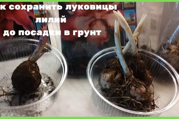 Kraken shop ссылка