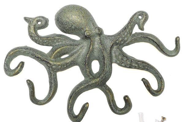 Kraken marketplace