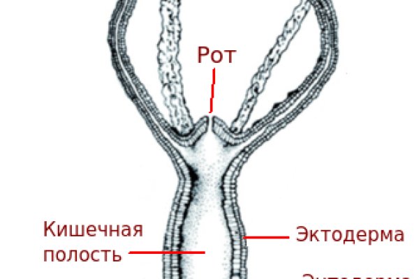 Забыл пароль кракен