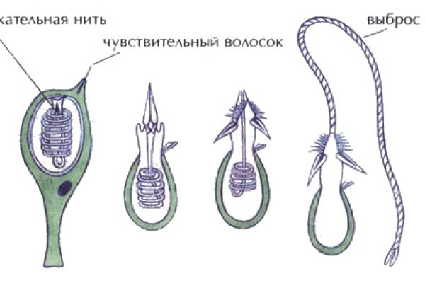 Кракен как зайти