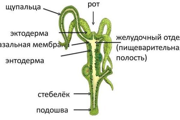 Ссылки на кракен зеркала